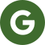 Google Icon